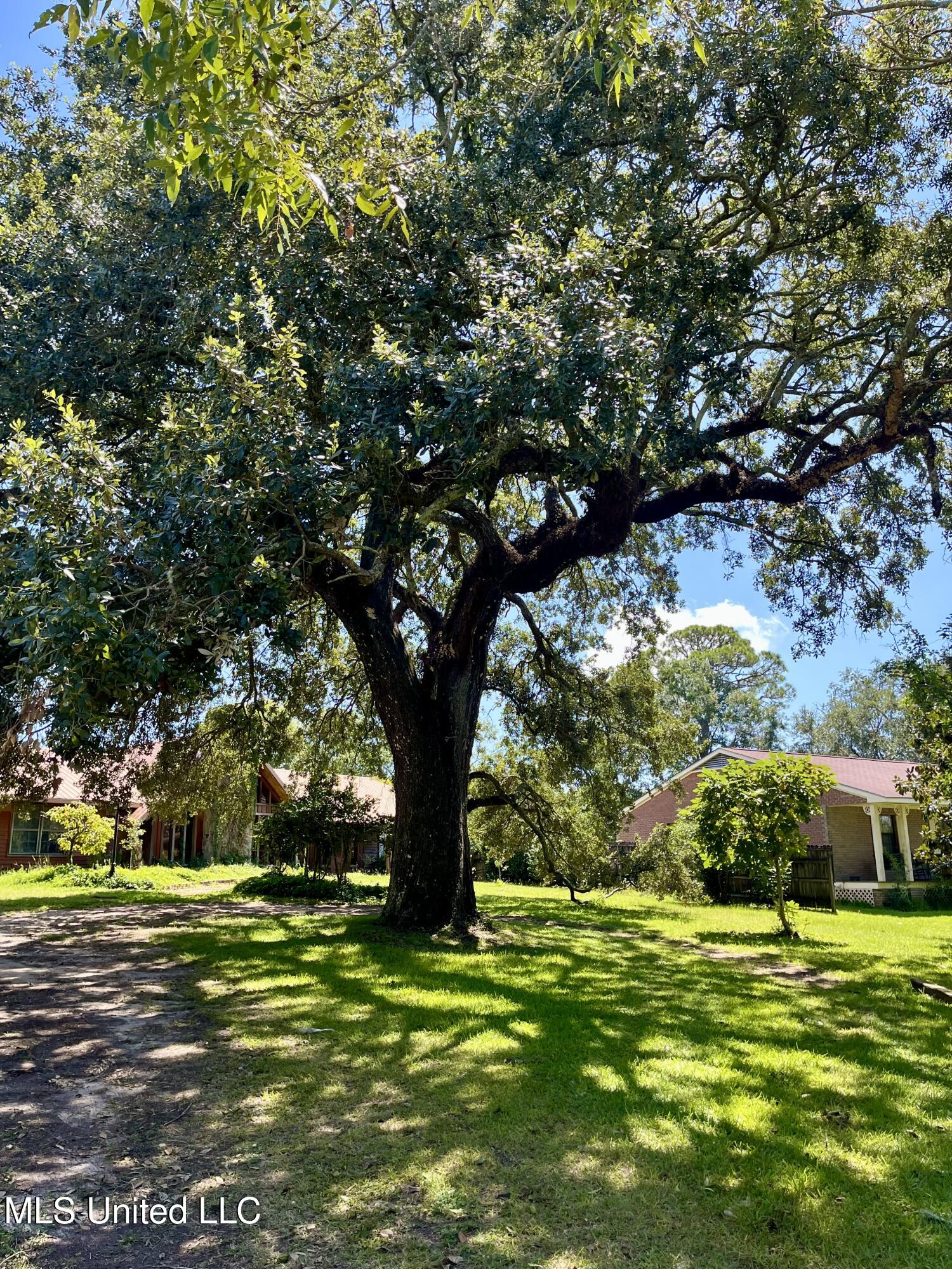 5114 Bay Street Pascagoula, MS 39567 - Photo 10 of 20 IMG_9418