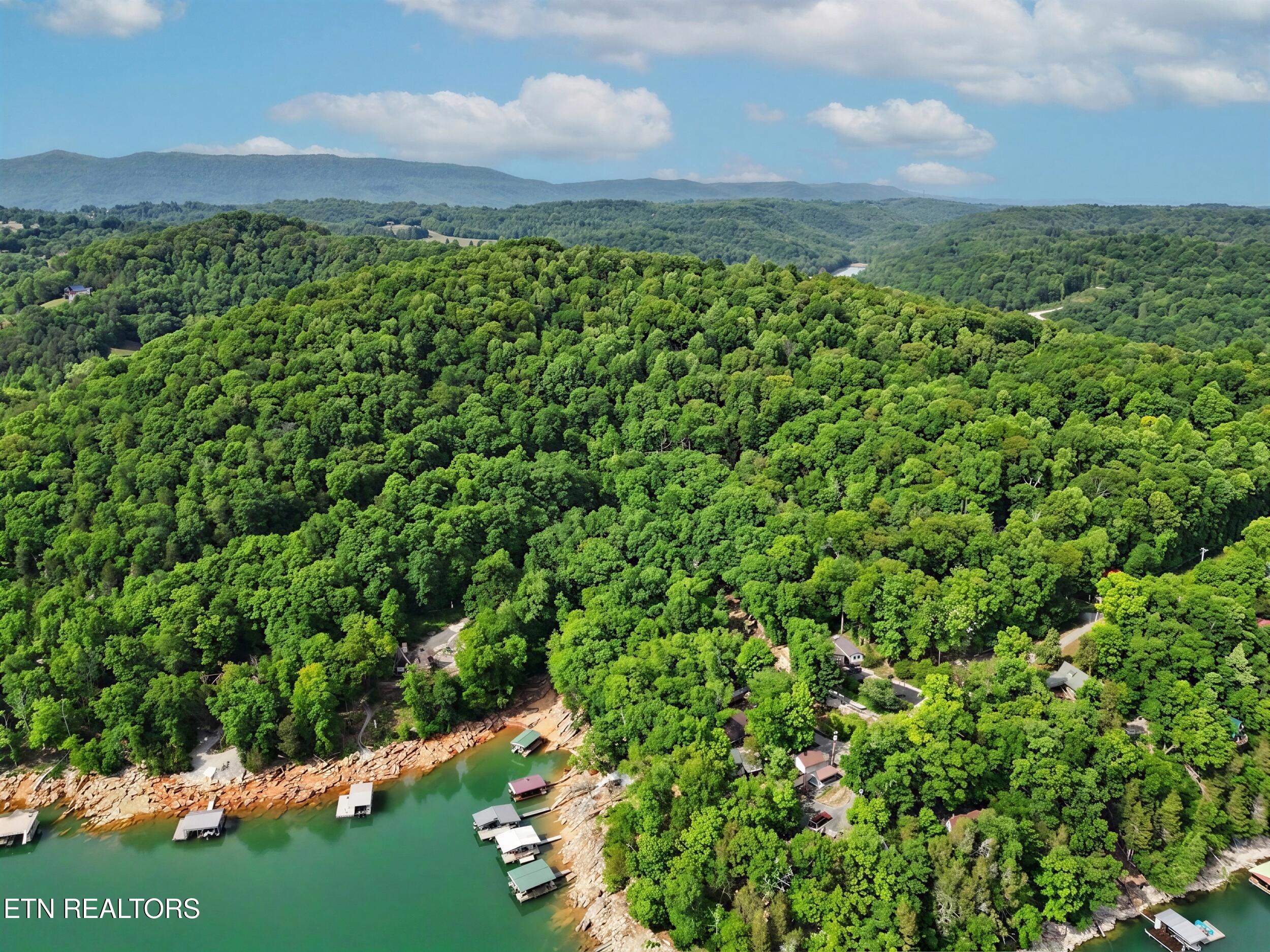 949 Flat Hollow Marina Road Speedwell, TN 37870 - Photo 41 of 43 41_dji_0110_edited