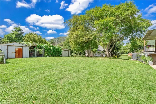 a view of green field with tree in the background