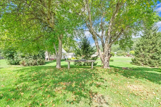 a backyard of a house with lots of green space and fountain