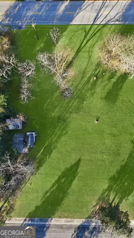 a view of a park with large trees