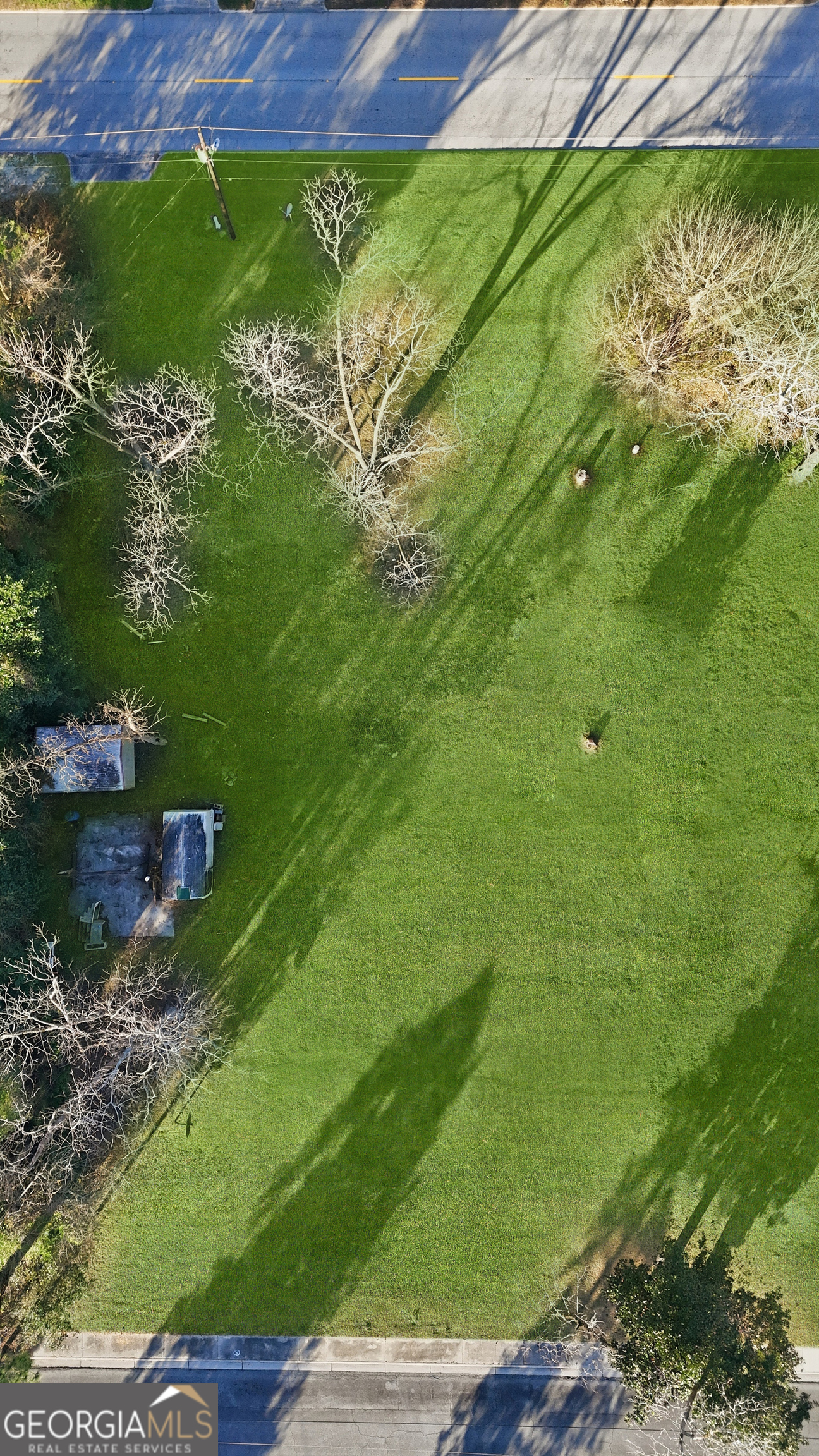 273 South Main Street Pembroke, GA 31321 - Photo 18 of 22 a view of a garden from a lake