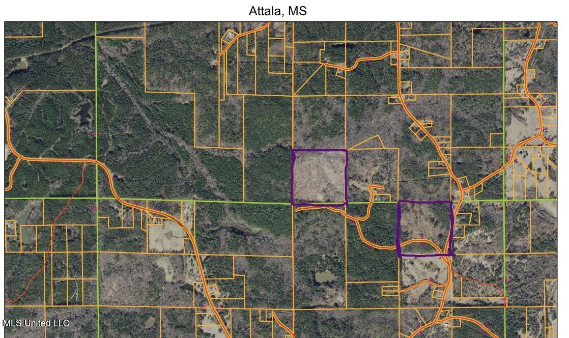 1115 County Road Kosciusko, MS 39090 - Photo 11 of 11 IMG_0206