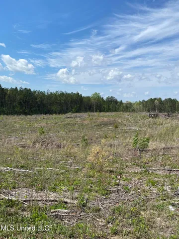 $240,000 | 1115 County Road, Kosciusko, MS 39090