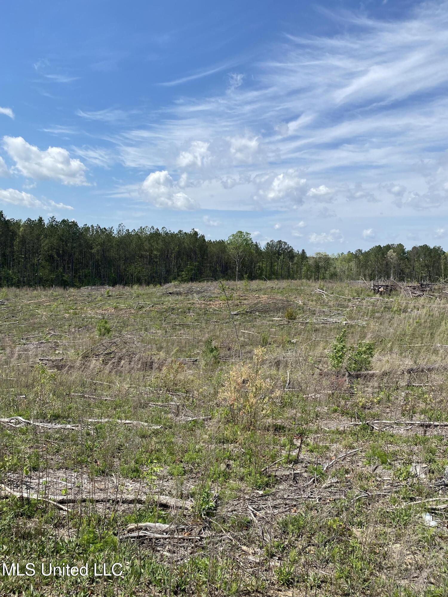 1115 County Road Kosciusko, MS 39090 - Photo 2 of 11 IMG_5353