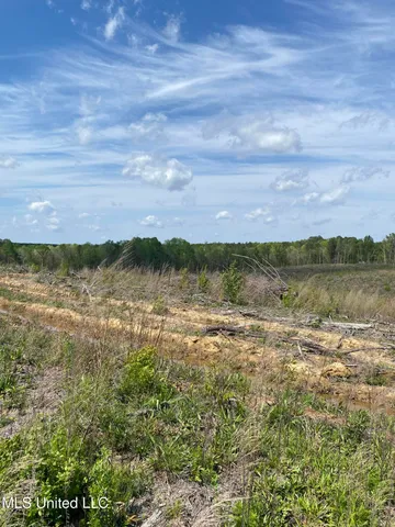 $240,000 | 1115 County Road, Kosciusko, MS 39090