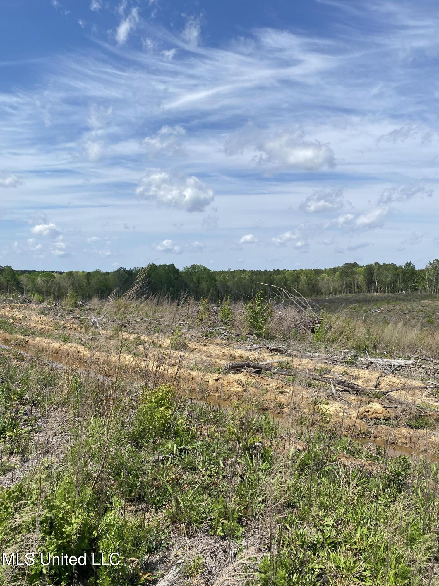 1115 County Road Kosciusko, MS 39090 - Photo 3 of 11 IMG_5358