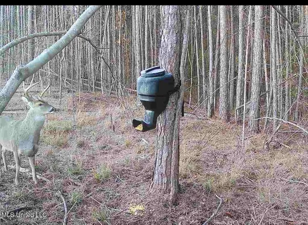 $240,000 | 1115 County Road, Kosciusko, MS 39090