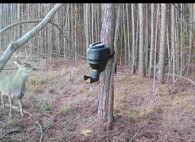 $240,000 | 1115 County Road, Kosciusko, MS 39090