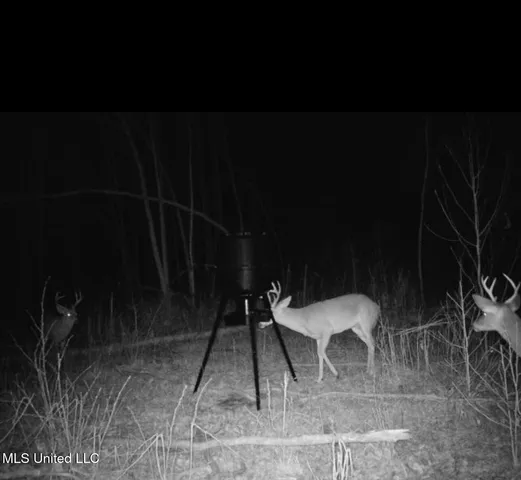 $240,000 | 1115 County Road, Kosciusko, MS 39090