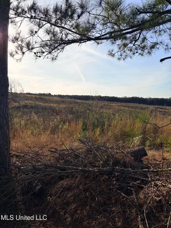 $240,000 | 1115 County Road, Kosciusko, MS 39090