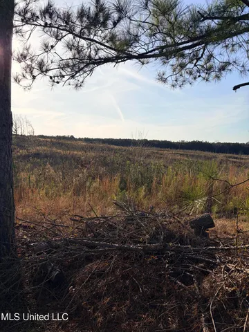 $240,000 | 1115 County Road, Kosciusko, MS 39090