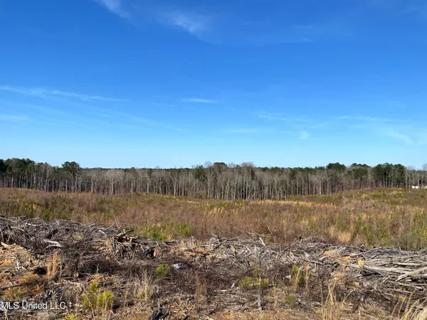 $240,000 | 1115 County Road, Kosciusko, MS 39090