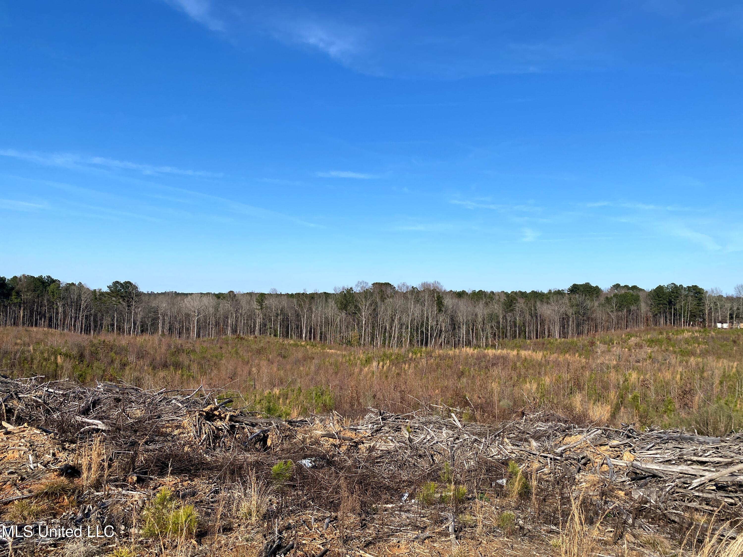 1115 County Road Kosciusko, MS 39090 - Photo 10 of 11 IMG_0073