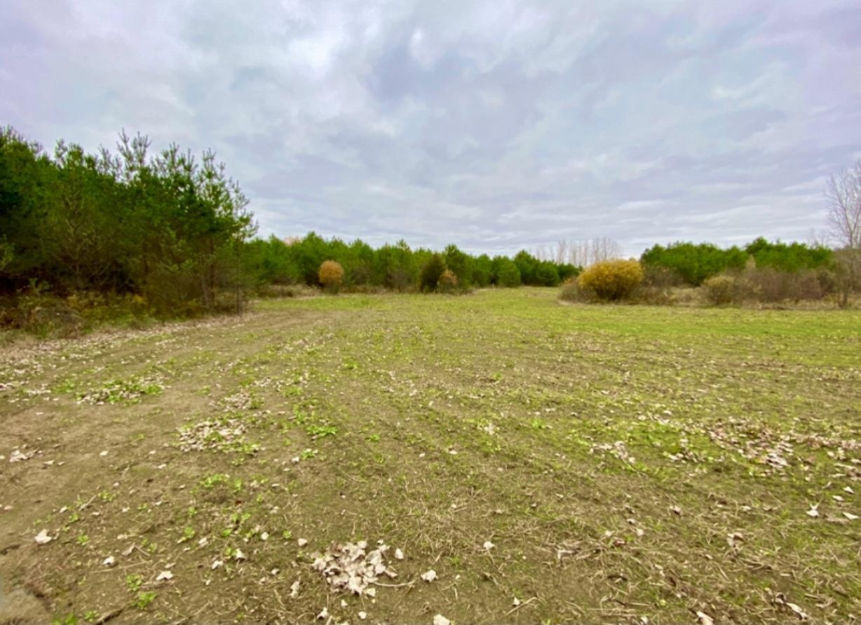 Kelly Road Flushing, MI 48433 - Photo 11 of 52 10