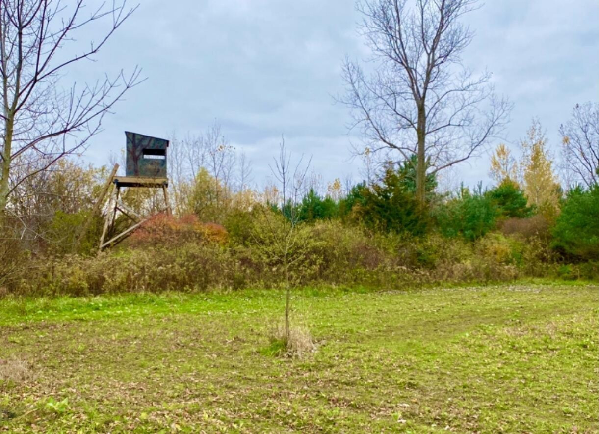 Kelly Road Flushing, MI 48433 - Photo 8 of 52 7