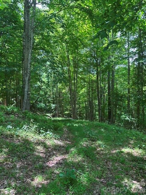 Tbd Mountain Home Road, Unit 2 Banner Elk, NC 28604 - Photo 3 of 3