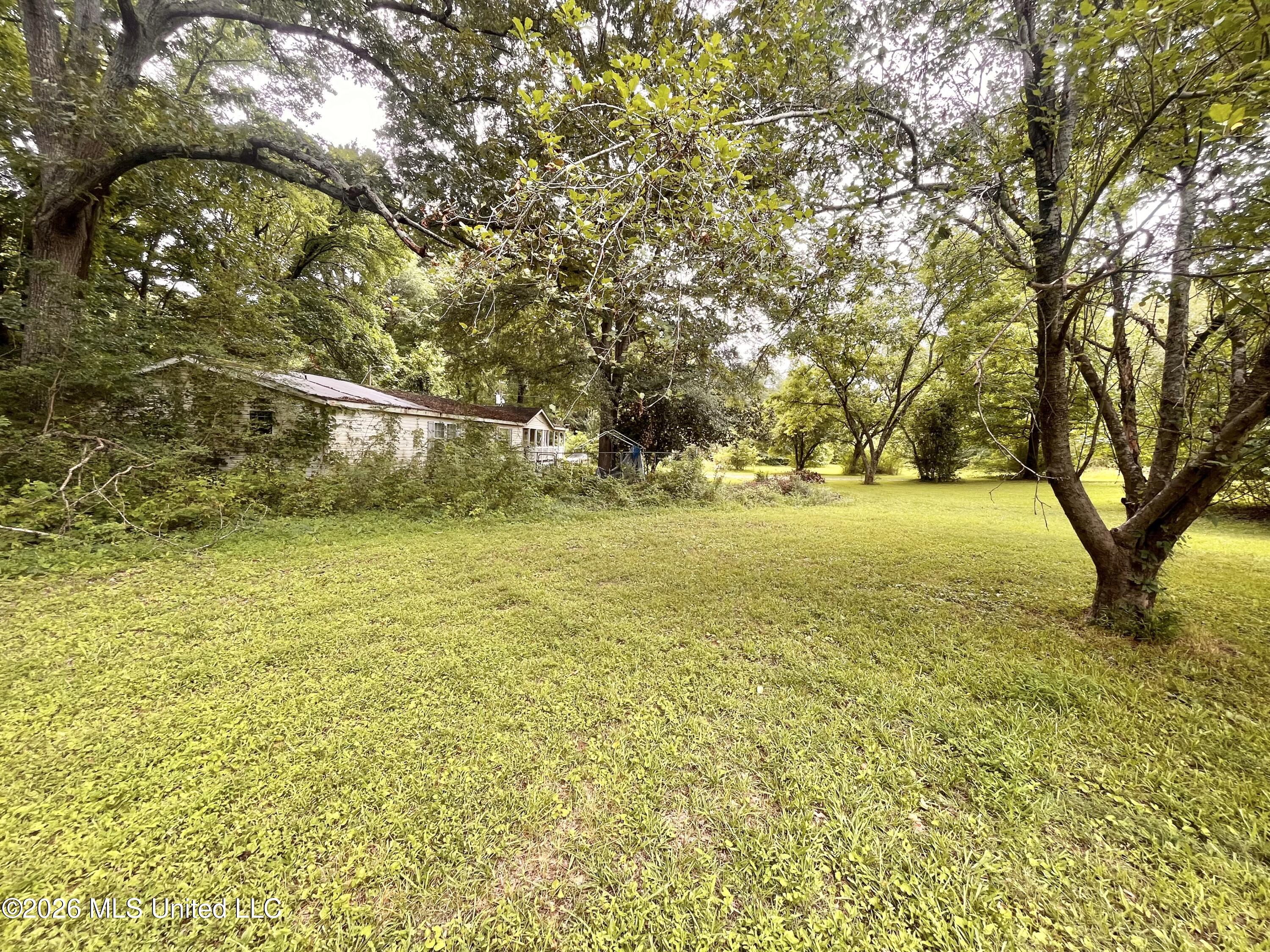 53 Lenzi Road Byhalia, MS 38611 - Photo 8 of 17 IMG_5858 (2)