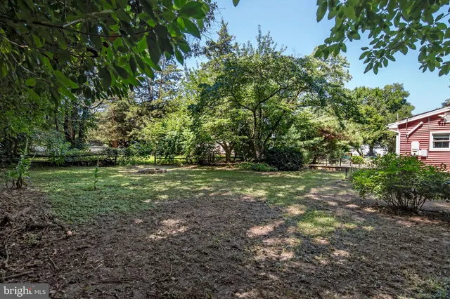 a view of outdoor space with trees