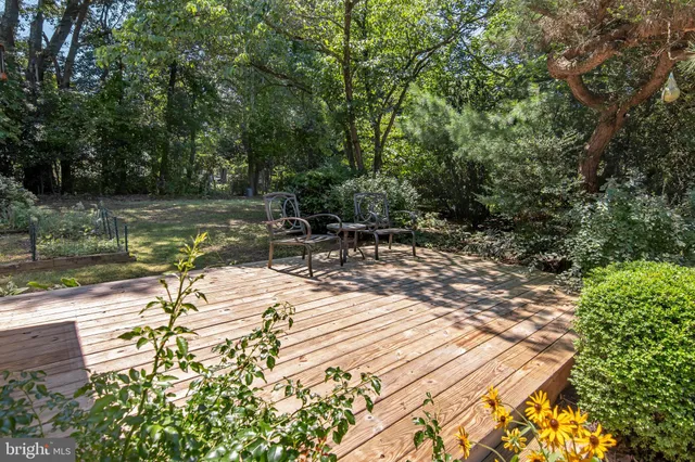 a view of a lake with a bench and trees