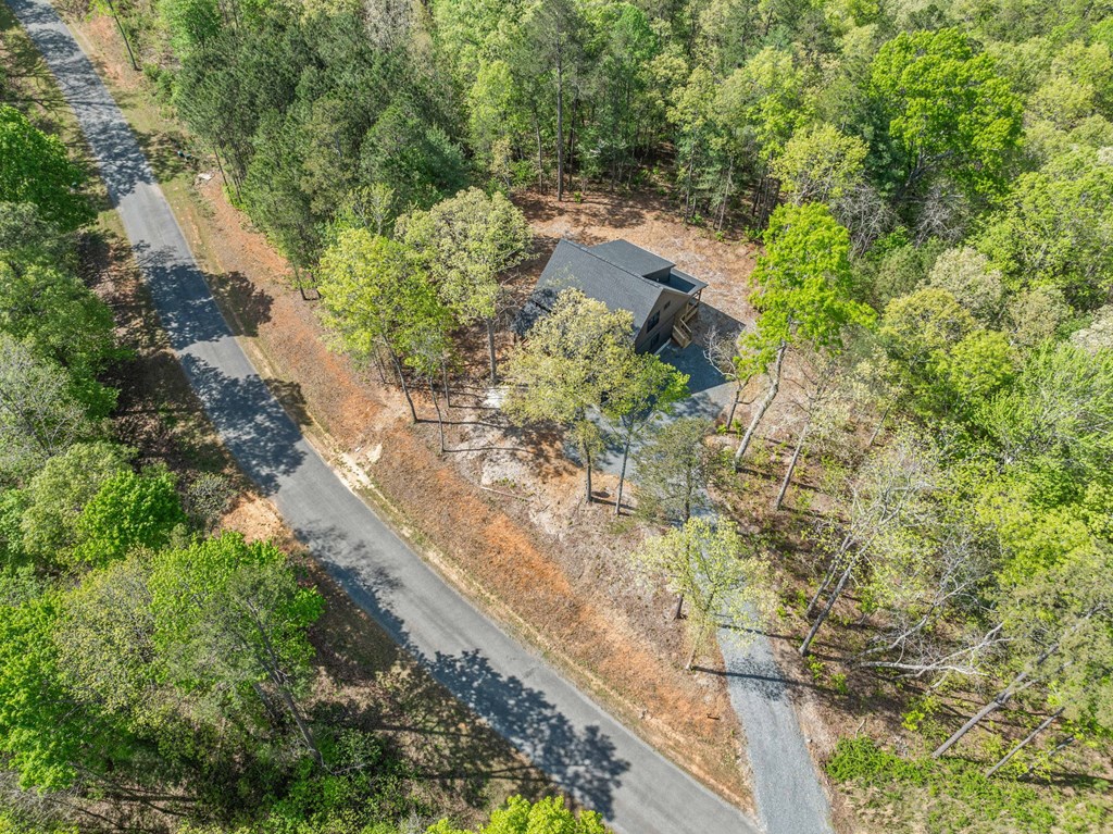 1310 High River Road Ellijay, GA 30540 - Photo 29 of 29 Gallery Image 29