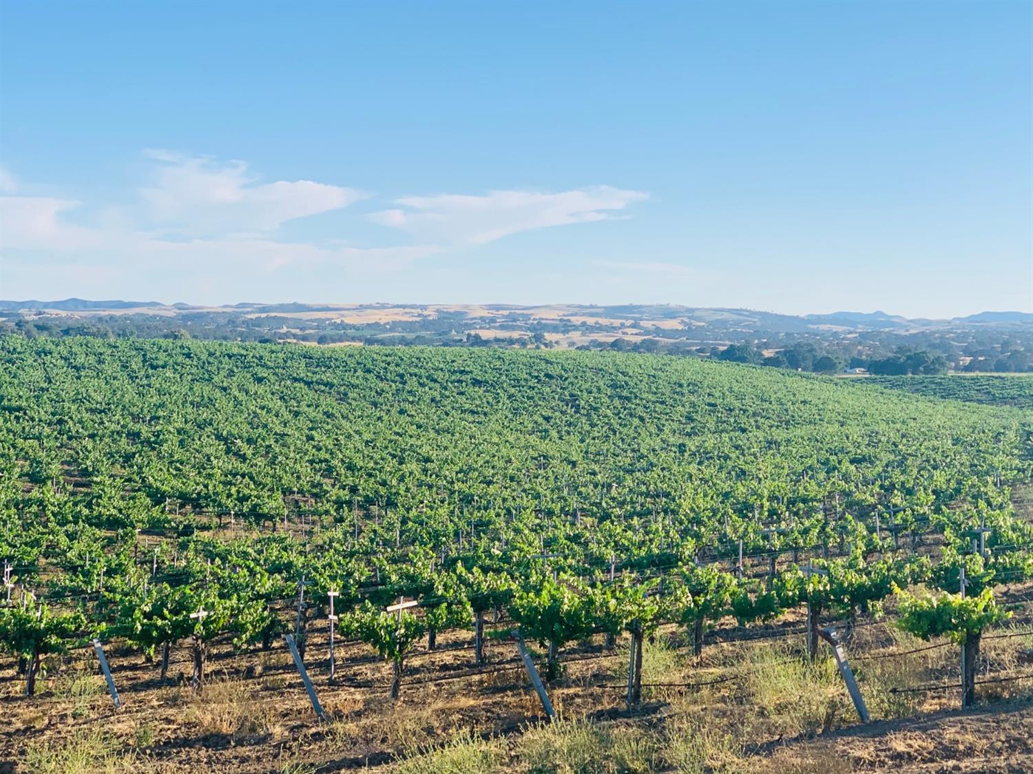 a view of a green field