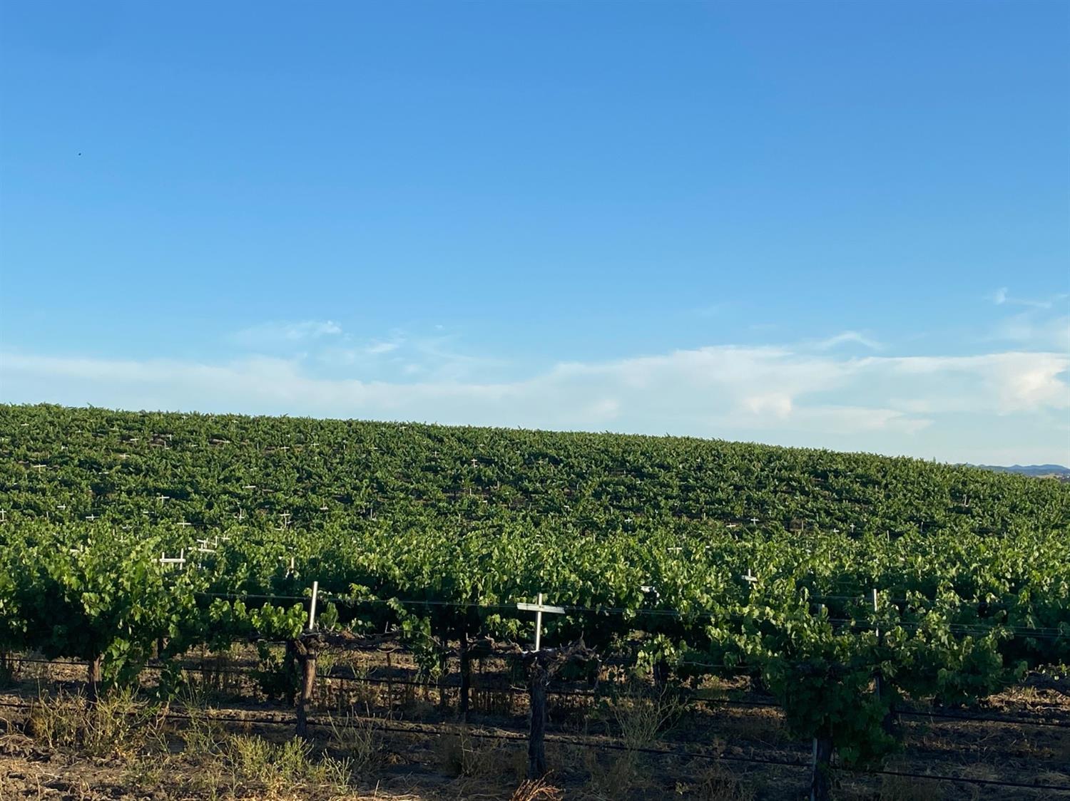 4860 Camp 8 Road Paso Robles, CA 93446 - Photo 22 of 25 a view of a city