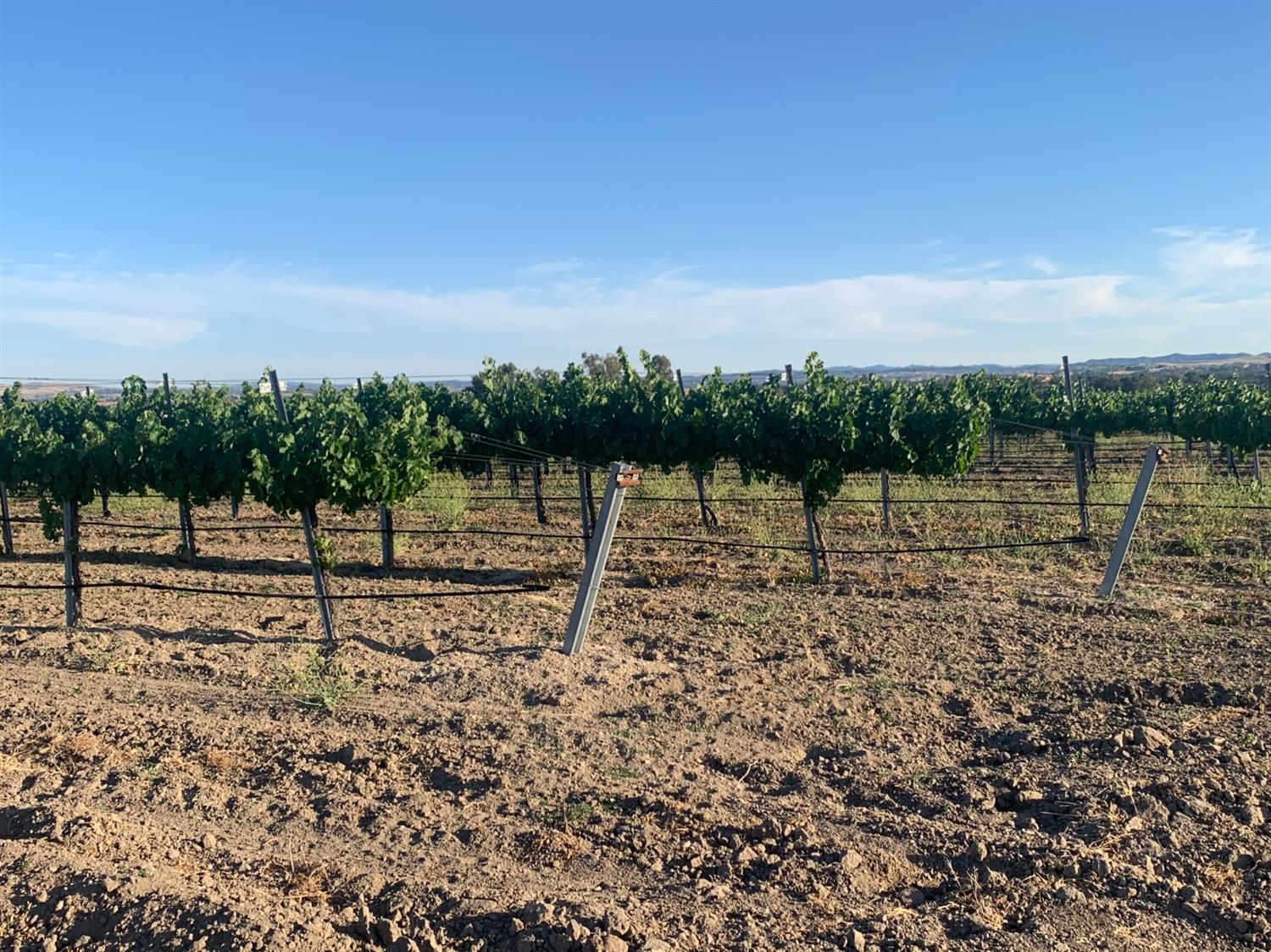 4860 Camp 8 Road Paso Robles, CA 93446 - Photo 5 of 25 a view of a lake with houses