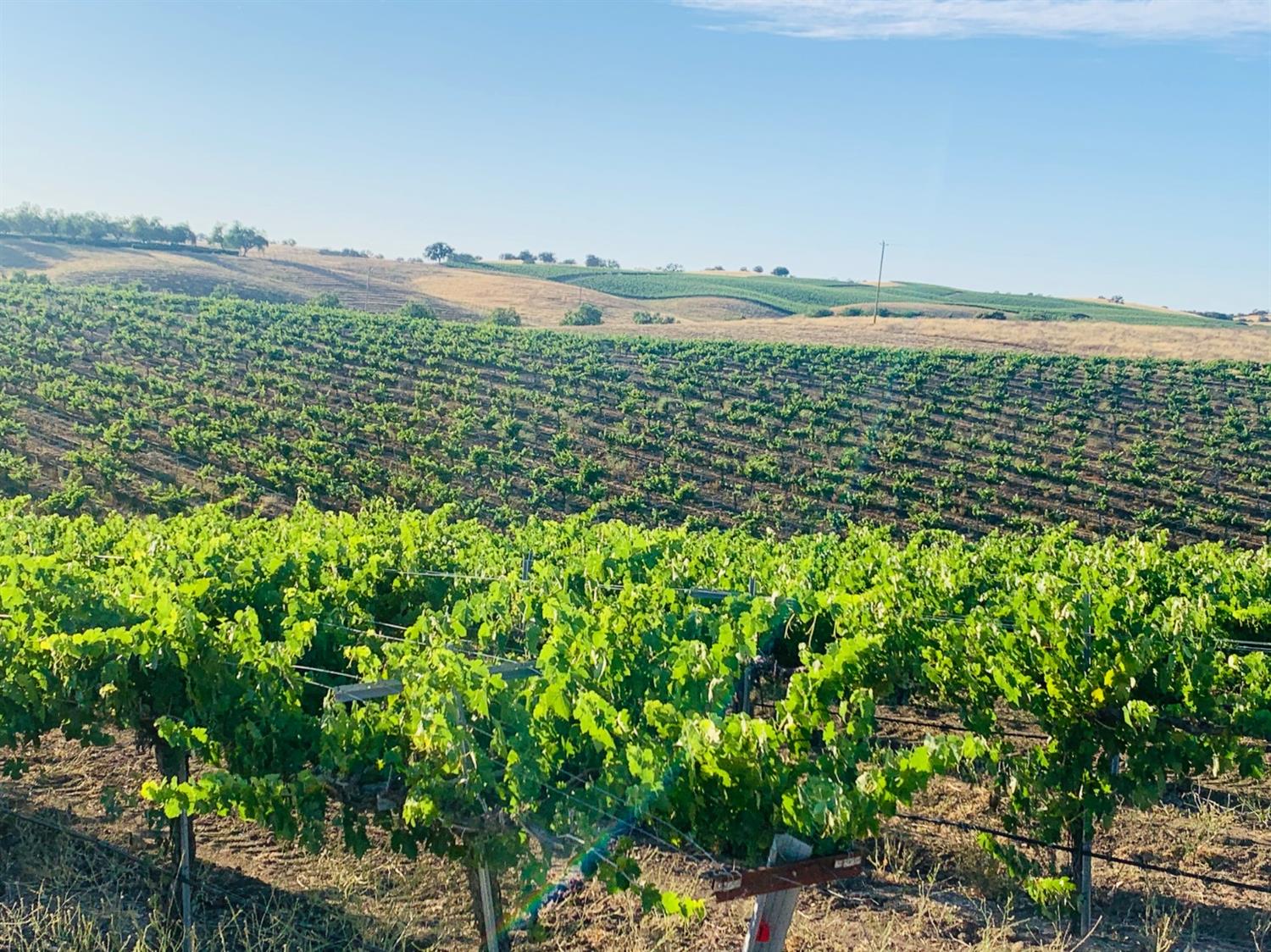 4860 Camp 8 Road Paso Robles, CA 93446 - Photo 6 of 25 a view of a lake