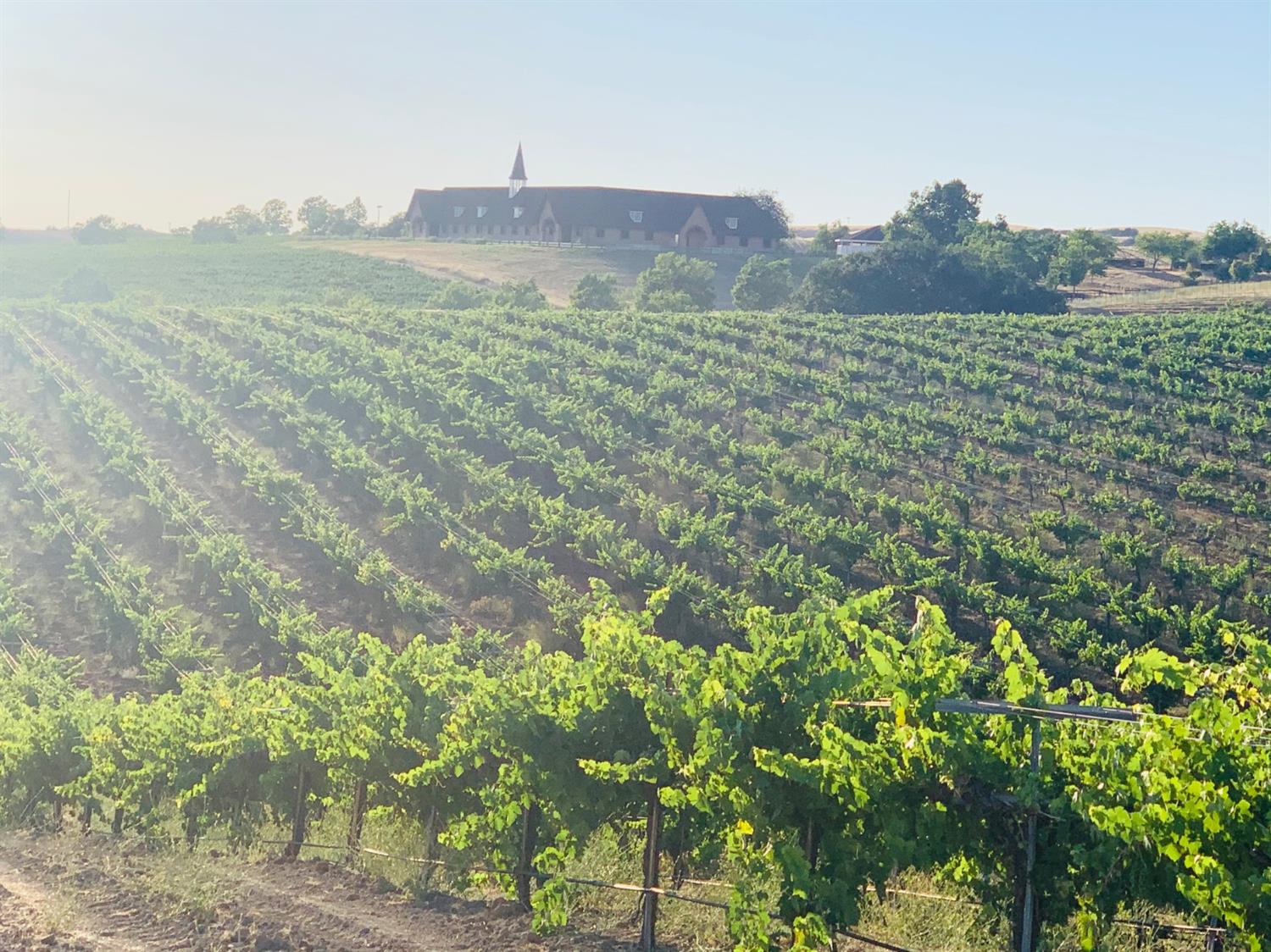 4860 Camp 8 Road Paso Robles, CA 93446 - Photo 8 of 25 a view of an outdoor space and a yard