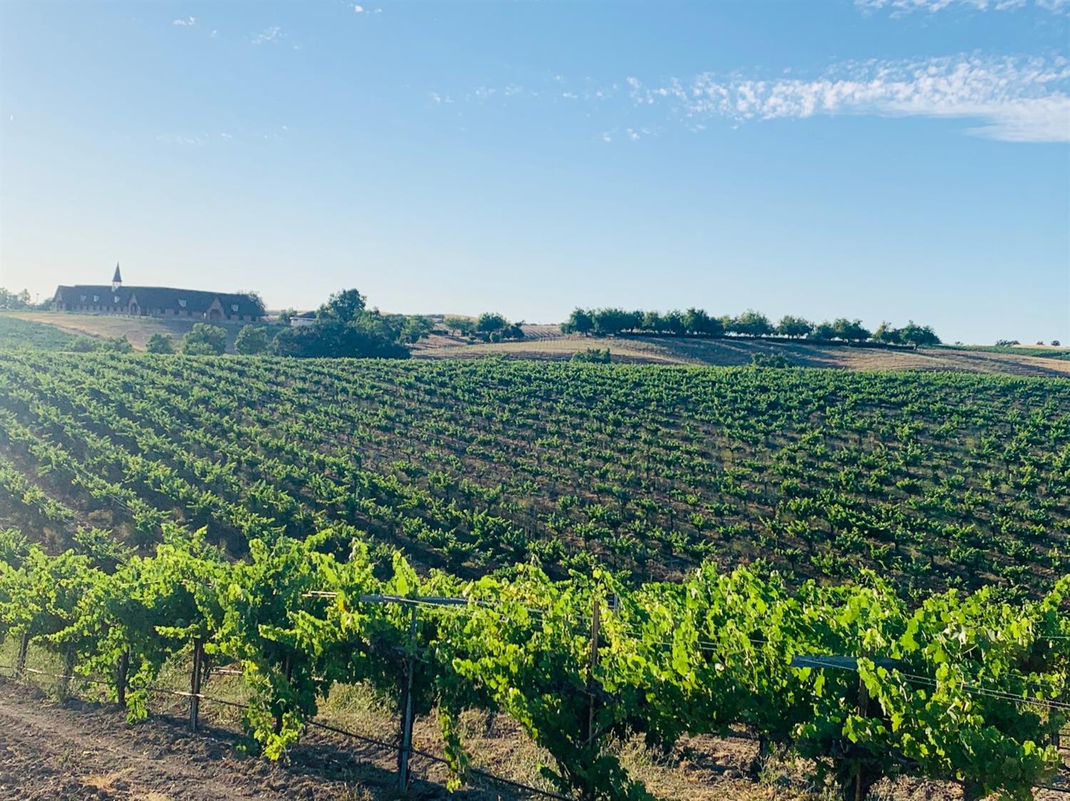 4860 Camp 8 Road Paso Robles, CA 93446 - Photo 9 of 25 a view of a lake