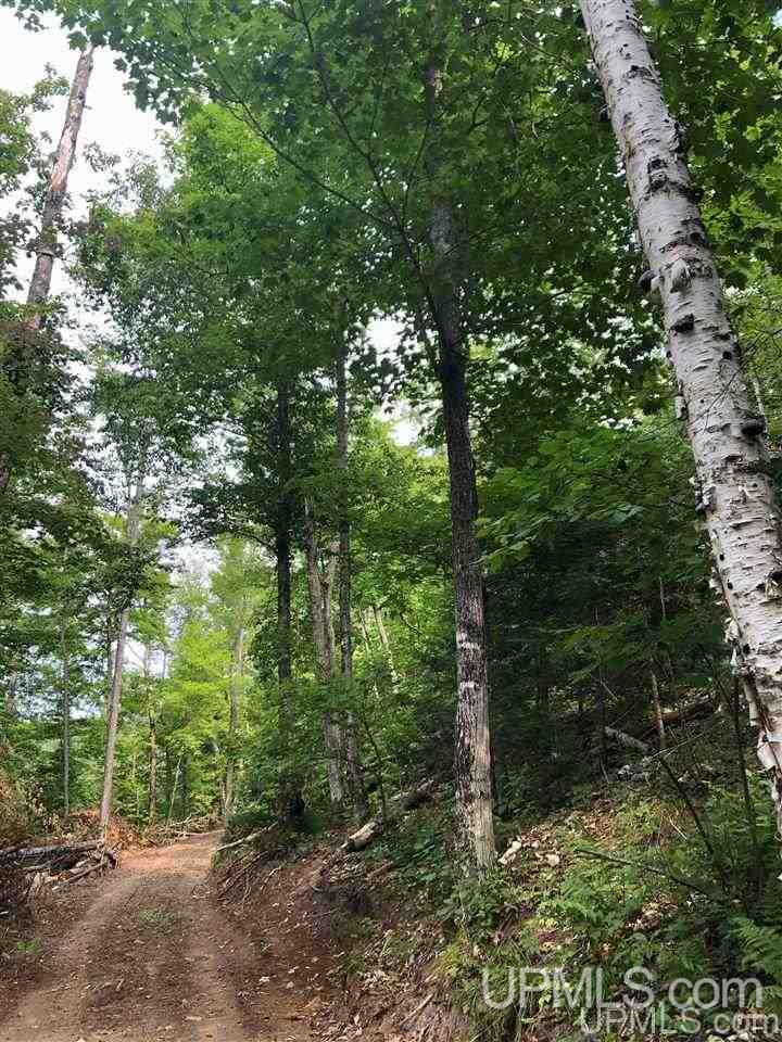 Tbd Deer Lake Road Ishpeming, MI 49849 - Photo 20 of 47
