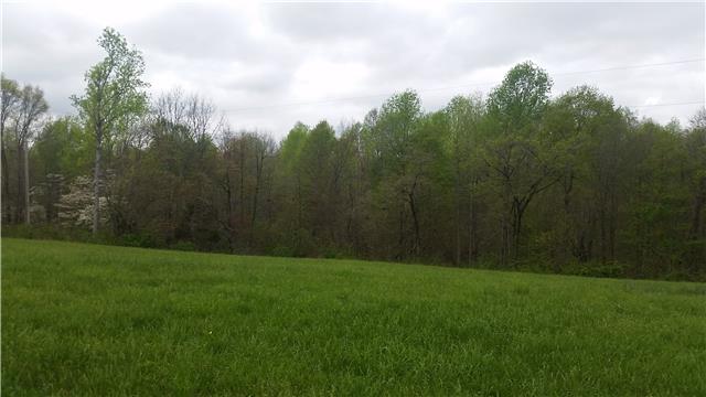 1 Oak Knob Road Lafayette, TN 37083 - Photo 8 of 9 Gallery Image 8
