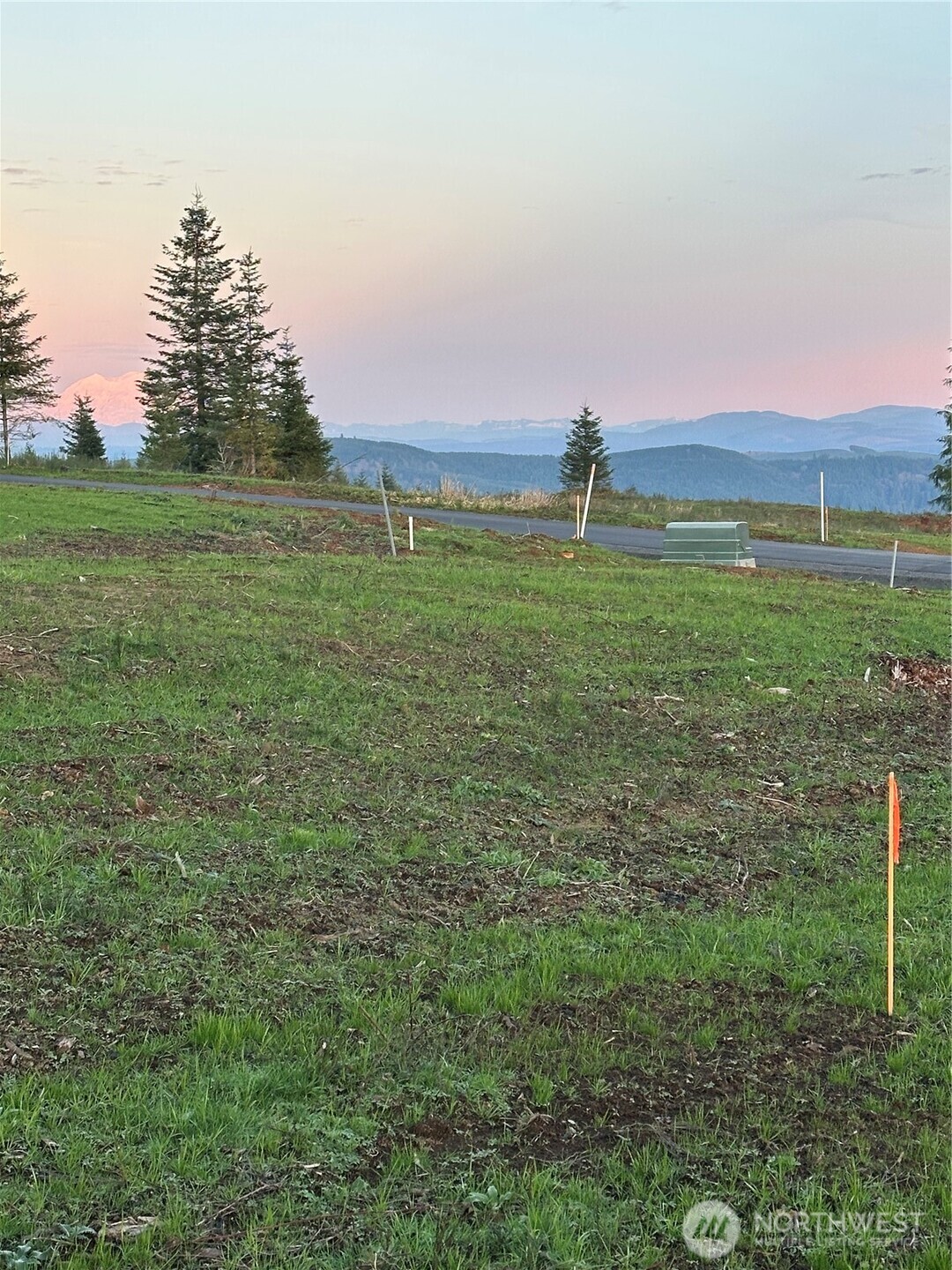 a view of a green field with lots of bushes