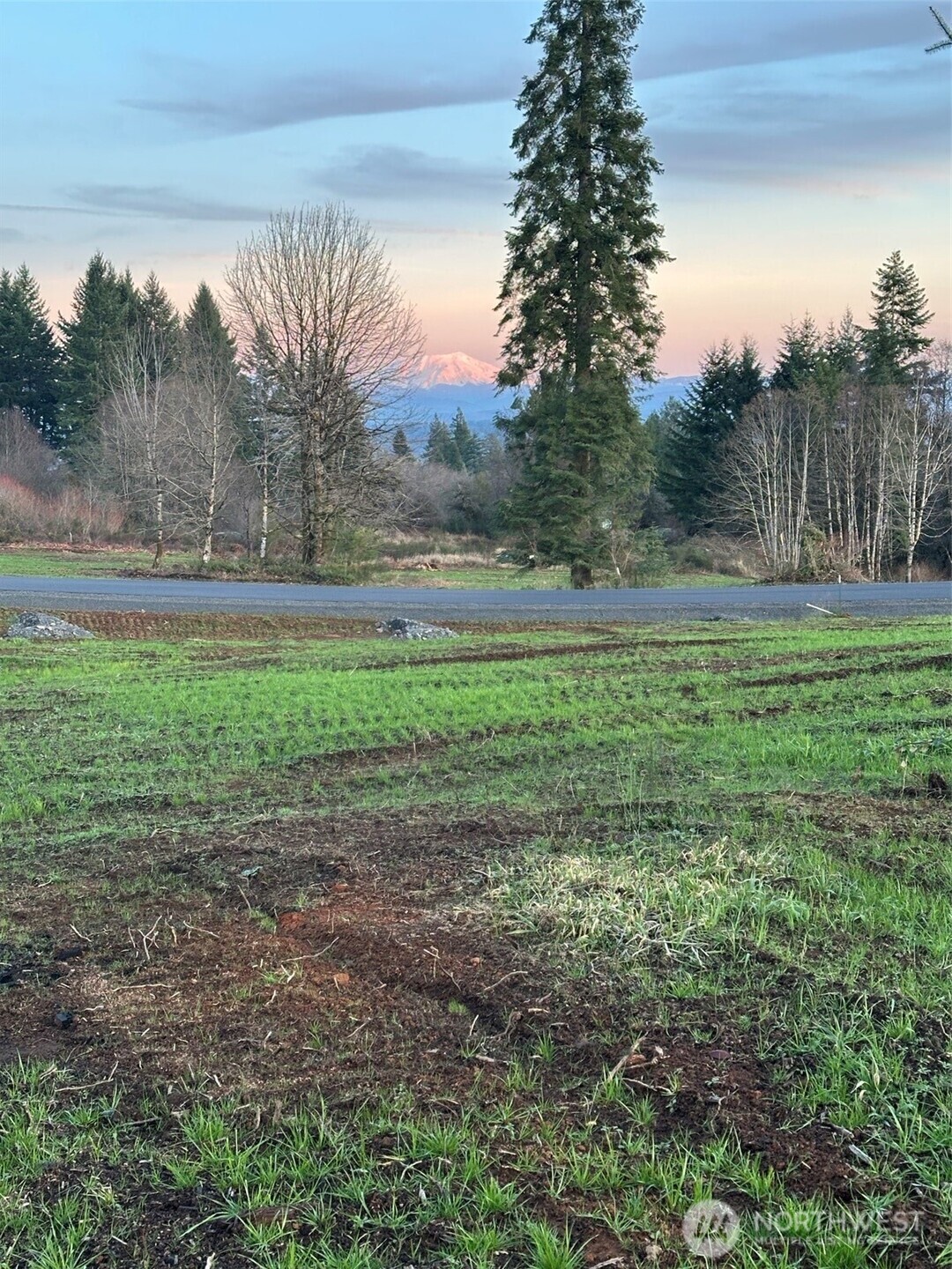 236 Suncrest Drive Castle Rock, WA 98611 - Photo 2 of 9 a backyard of a house with lots of green space