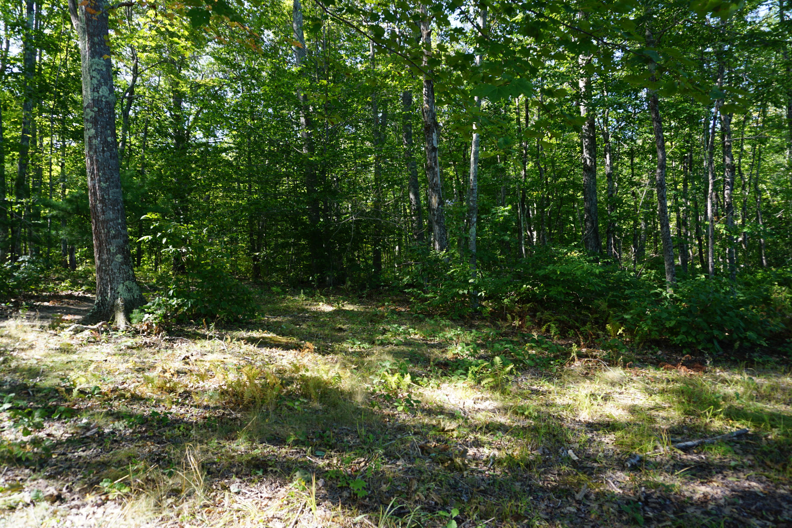 0 Lunts Hill Road Litchfield, ME 04350 - Photo 9 of 17 DSC03027