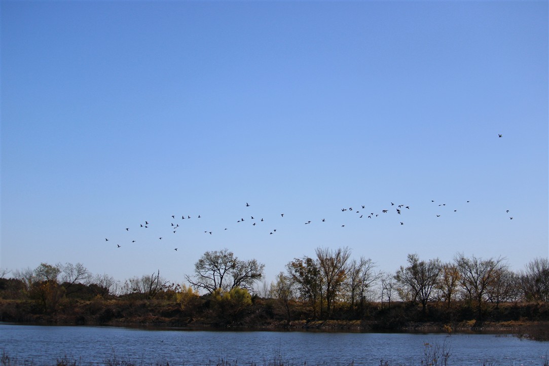 1684 County Road 2234 Lampasas, TX 76550 - Photo 16 of 35 a view of an ocean