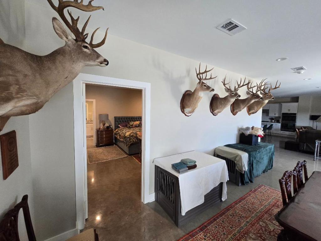 1684 County Road 2234 Lampasas, TX 76550 - Photo 33 of 35 a living room with furniture