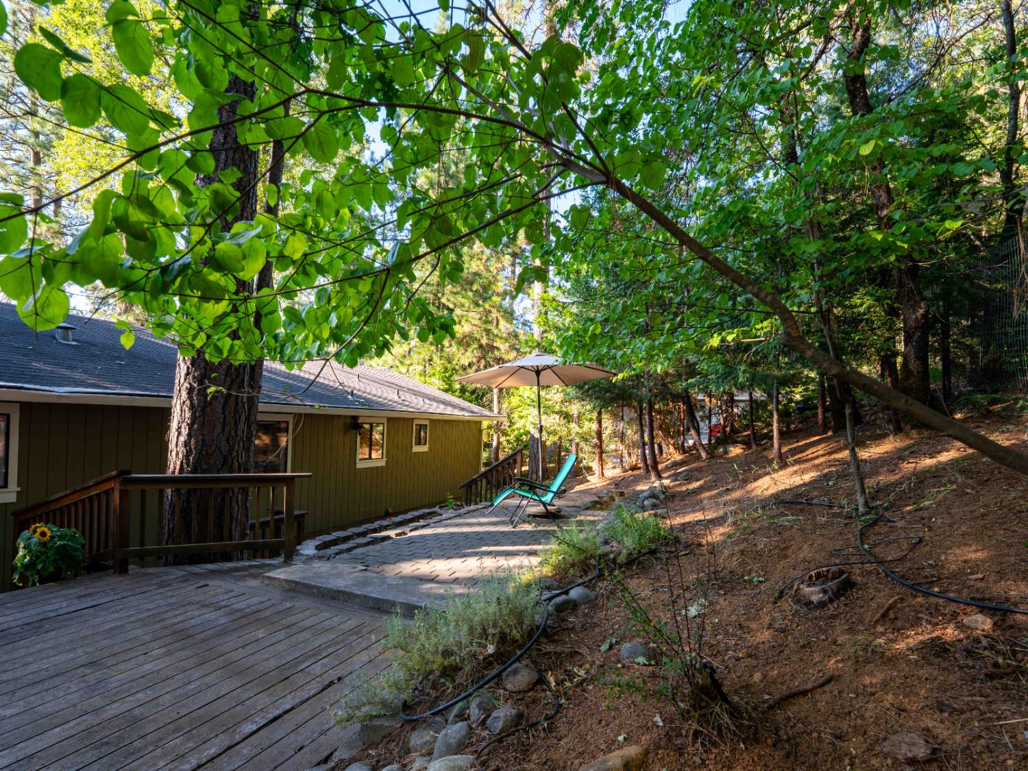 11419 Sunset Place Grass Valley, CA 95949 - Photo 20 of 47 a view of backyard