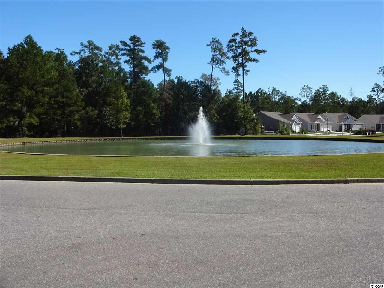 107 Machrie Loop, Unit D Myrtle Beach, SC 29588 - Photo 29 of 40 Gallery Image 29