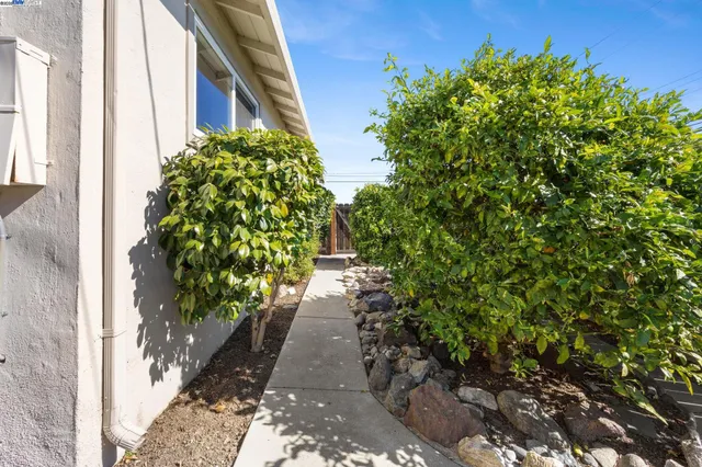 a flower plants with wooden fence