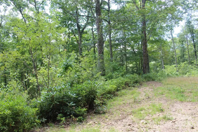 $40,000 | 920 Autumn Drive, Maggie Valley, NC 28751