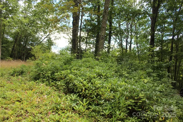 $40,000 | 920 Autumn Drive, Maggie Valley, NC 28751