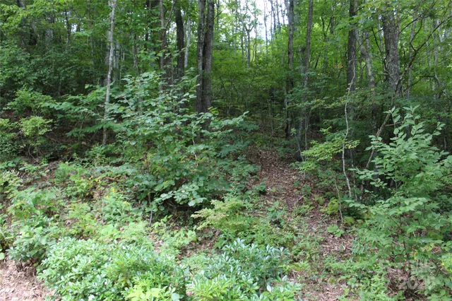 $40,000 | 920 Autumn Drive, Maggie Valley, NC 28751