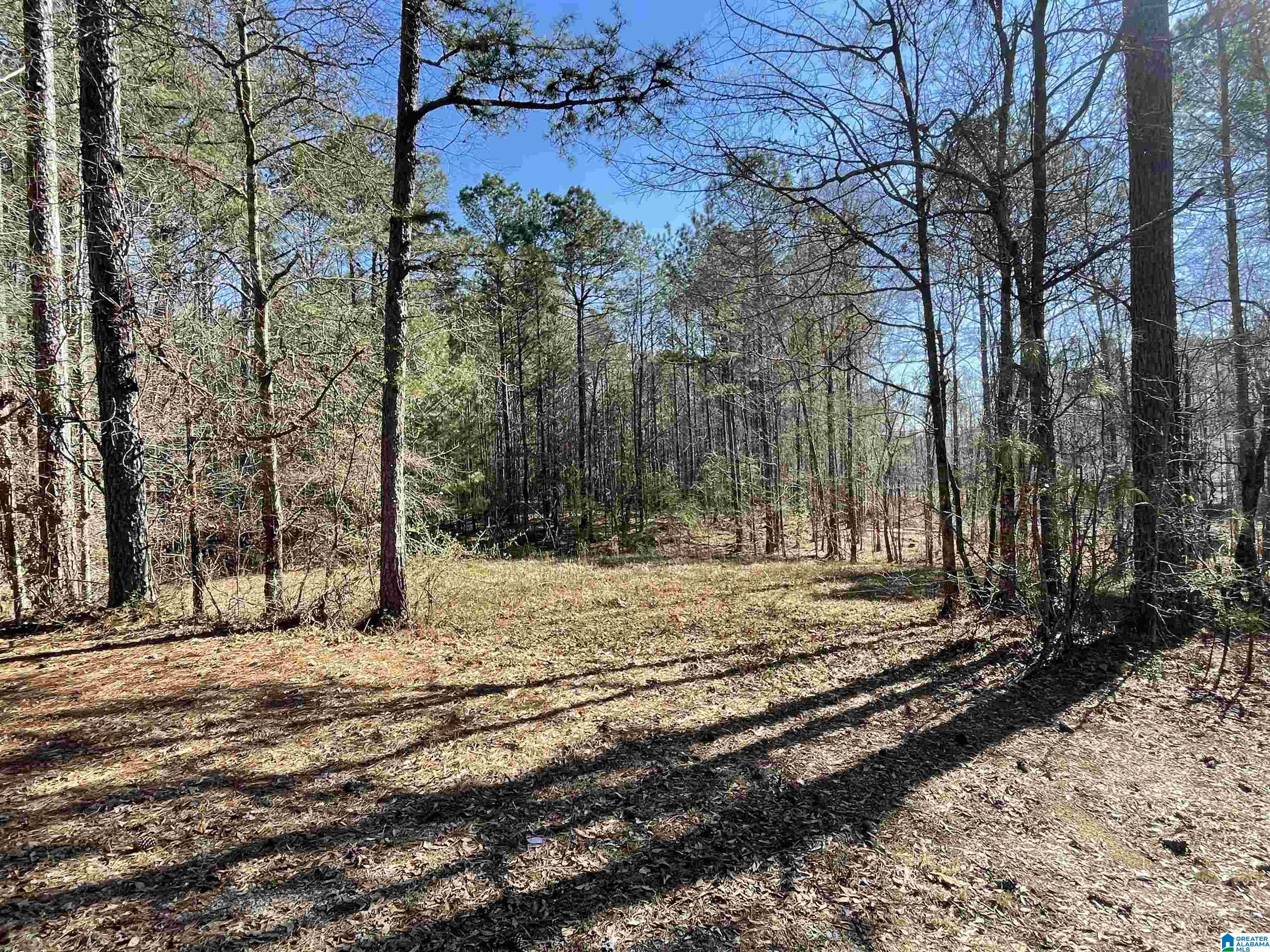 0 Hughes Road, Unit 5 Columbiana, AL 35051 - Photo 1 of 2