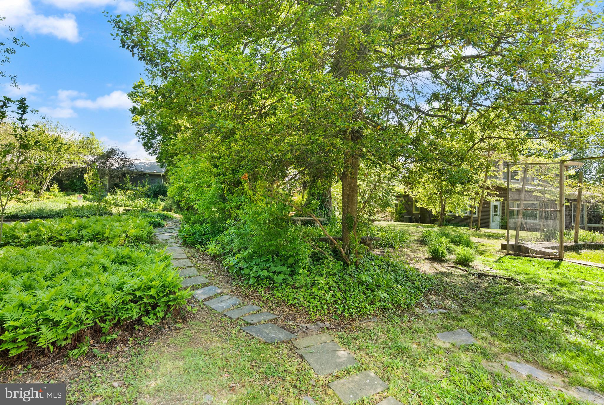 1616 Chain Bridge Road McLean, VA 22101 - Photo 11 of 28 a view of yard with large trees