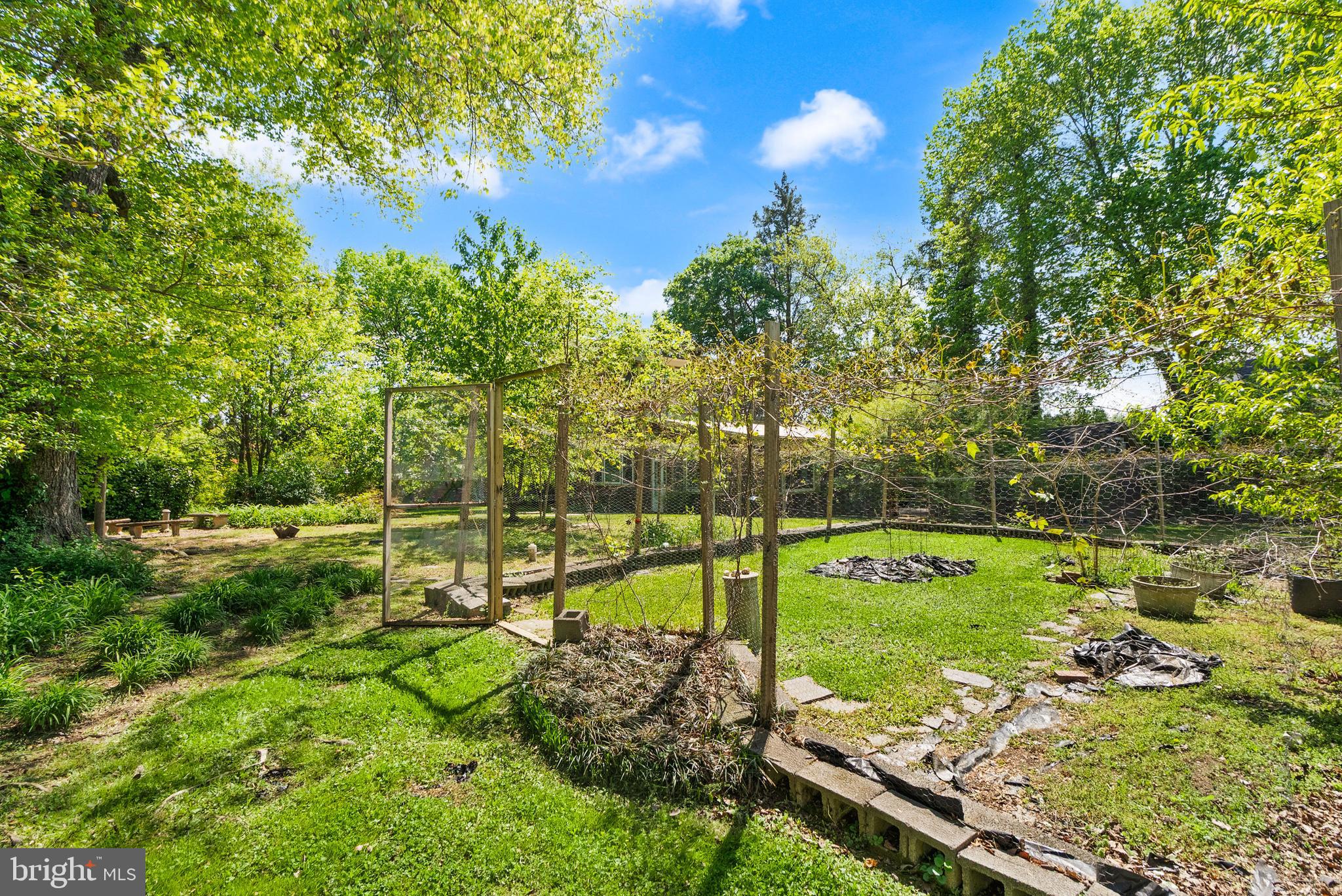 1616 Chain Bridge Road McLean, VA 22101 - Photo 10 of 28 a view of a park with large trees