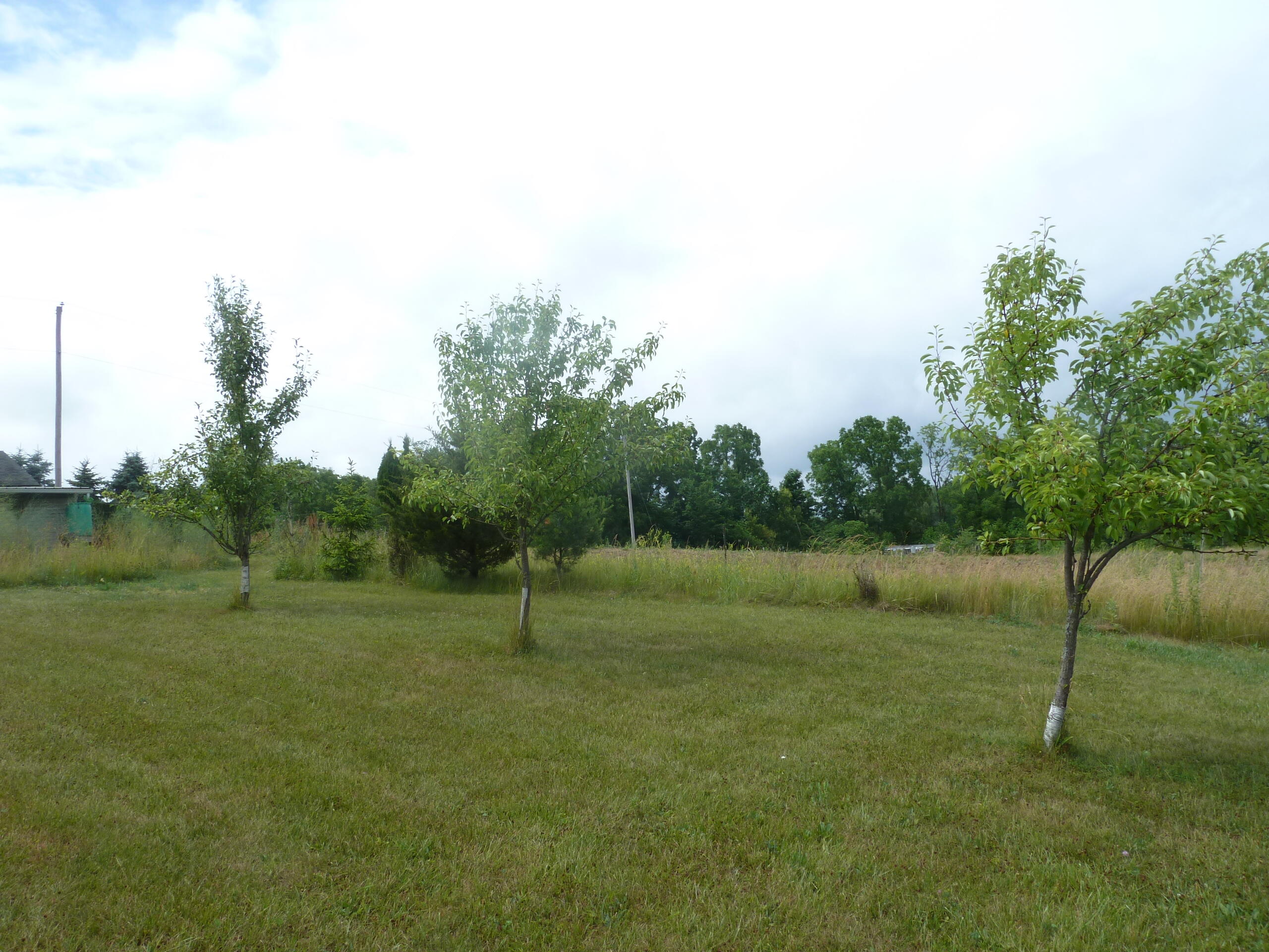 8294 West Territorial Road Montgomery, MI 49255 - Photo 15 of 94 P1160489