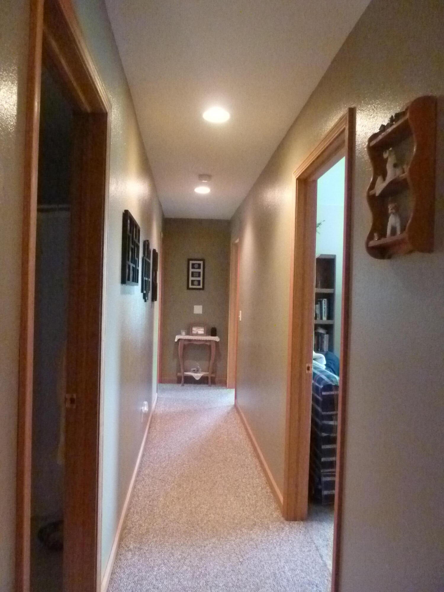 8294 West Territorial Road Montgomery, MI 49255 - Photo 51 of 94 P1160526