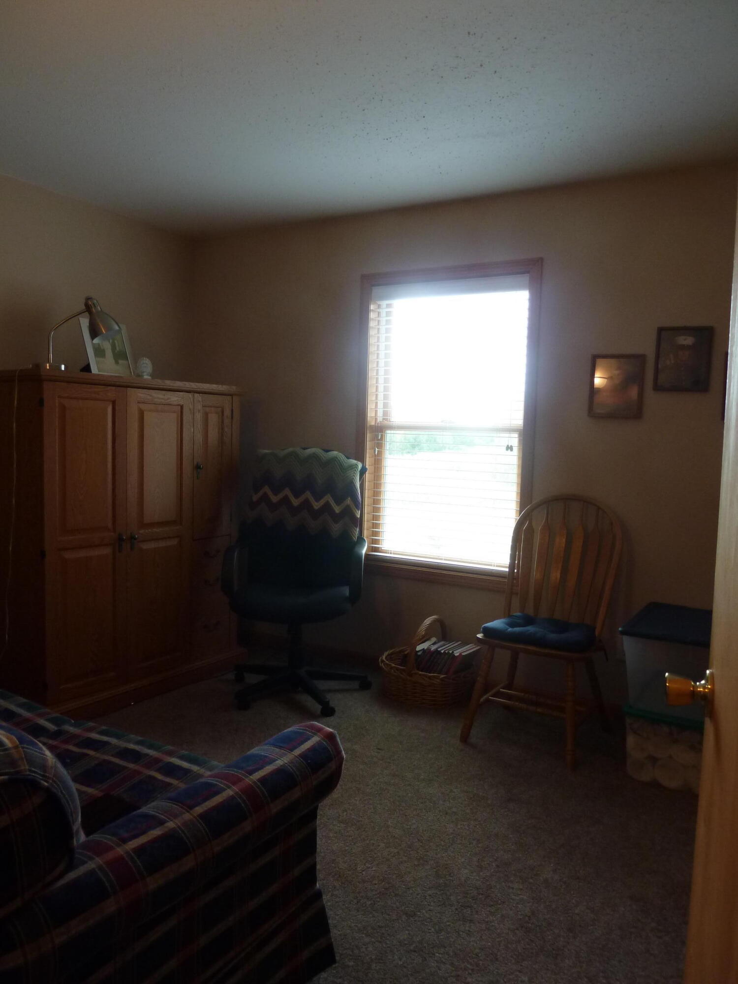8294 West Territorial Road Montgomery, MI 49255 - Photo 54 of 94 P1160529